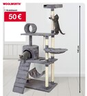 Kratzbaum Angebote bei Woolworth Bergkamen für 50,00 €