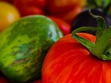Promo Tomates variées à 3,29 € dans le catalogue Point Vert à Tarbes
