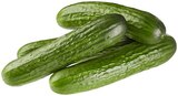 Mini Gurken im Angebot bei REWE in Hof Mini Gurken Angebote von REWE Regional bei REWE Hof für 2,99 €