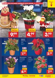 Blumen Angebot im aktuellen Netto Marken-Discount Prospekt auf Seite 7