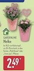 Nelke von GARDENLINE im aktuellen ALDI Nord Prospekt für 2,49 €