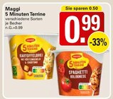 5 Minuten Terrine Angebote von Maggi bei WEZ Löhne für 0,99 €