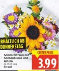 Sommerstrauß mit Sonnenblume und Astern für 3,99 € bei E center im Angebot Sommerstrauß mit Sonnenblume und Astern im aktuellen E center Prospekt