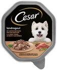 Hundenahrung von Cesar im aktuellen REWE Prospekt für 0,75 €