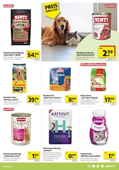 Aktueller Hagebaumarkt Prospekt mit Katzenstreu, "VERSCHÖNERE MIT UNS DEINEN GARTEN", Seite 15