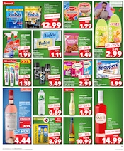 Freixenet im Kaufland Prospekt in Heidelberg Aktueller Kaufland Prospekt mit Freixenet, "Aktuelle Angebote", Seite 23