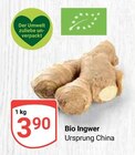 Bio Ingwer im Angebot bei GLOBUS in Saarbrücken Bio Ingwer Angebote bei GLOBUS Saarbrücken für 3,90 €
