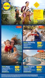 Reis Angebot im aktuellen Lidl Prospekt auf Seite 77