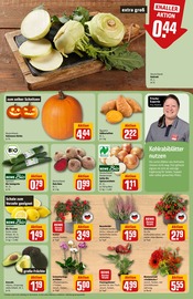 Blumen im REWE Prospekt in Weinheim Aktueller REWE Prospekt mit Blumen, "Dein Markt", Seite 5