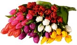 REWE - Tulpen Angebot im Prospekt Tulpen bei REWE im Prospekt "" für 1,99 €