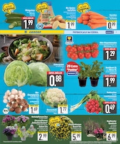 Gartenmöbel im EDEKA Prospekt in Augsburg Aktueller EDEKA Prospekt mit Gartenmöbel, "DAS BESTE DER WOCHE", Seite 7