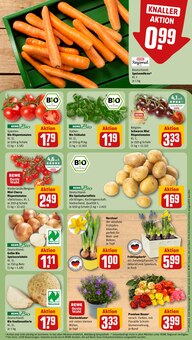 Staubsauger im REWE Prospekt "Dein Markt" mit 32 Seiten (Osnabrück)