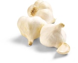 Bio Knoblauch im Angebot bei Netto Marken-Discount in Rastatt Bio Knoblauch Angebote von BioBio bei Netto Marken-Discount Rastatt für 1,29 €