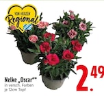 EDEKA München Prospekt mit  im Angebot für 2,49 €