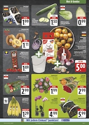 Ähnliche Zitronenbaum Angebote im Prospekt "Wir lieben Lebensmittel!" von EDEKA in Schwabach Ähnliche Angebote wie Zitronenbaum im Prospekt "Wir lieben Lebensmittel!" auf Seite 9 von EDEKA in Schwabach