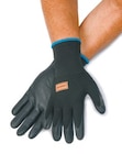Netto mit dem Scottie - Gartenhandschuhe Angebot im Prospekt Gartenhandschuhe bei Netto mit dem Scottie im Prospekt "" für 2,50 €