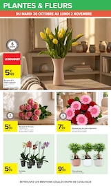 Promos Orchidée dans le catalogue "HAHA HALLOWEEN" de Carrefour Orchidée en promo dans le catalogue Carrefour à la page 70