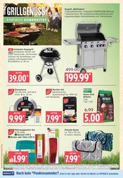 Briketts im Marktkauf Prospekt in Stade Aktueller Marktkauf Prospekt mit Briketts, "Top Angebote", Seite 38