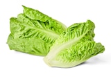 Angebot im Penny Aschersleben Prospekt Penny Aschersleben Prospekt mit im Angebot für 0,99 €