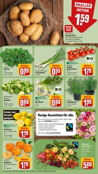Blumen im REWE Prospekt "Dein Markt" mit 26 Seiten (Offenbach (Main))