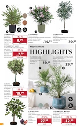 Grünpflanzen im Dehner Garten-Center Prospekt "Aktuelle Angebote" auf Seite 6