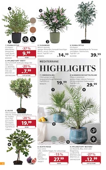 Oliven im Dehner Garten-Center Prospekt "Aktuelle Angebote" mit 18 Seiten (Erlangen)