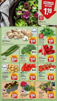 Tomaten im REWE Prospekt "Dein Markt" mit 16 Seiten (Nürnberg)