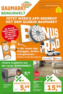 Briketts im Globus-Baumarkt Prospekt "Immer eine Idee besser" mit 16 Seiten (Bottrop)