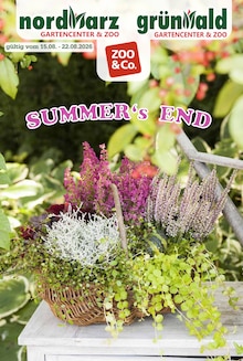 Aktueller Garten-Center Nordharz GmbH & Co. KG Prospekt (Peine, 12 Seiten zum blättern Garten-Center Nordharz GmbH & Co. KG Prospekt SUMMER'S END mit 12 Seiten