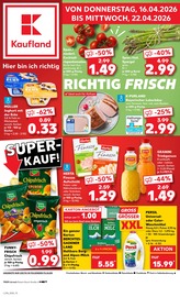 Spargel im Kaufland Prospekt in Lörrach Aktueller Kaufland Prospekt mit Spargel, "KNÜLLER", Seite 13