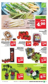 Aktueller Marktkauf Prospekt mit Spargel, "GANZ GROSS in kleinsten Preisen!", Seite 13