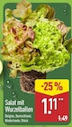 Salat mit Wurzelballen im ALDI Nord Prospekt Salat mit Wurzelballen im aktuellen ALDI Nord Prospekt für 1,11 €