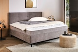 BOXBETT im Angebot bei XXXLutz in Siegen BOXBETT Angebote von welnova bei XXXLutz Siegen für 555,00 €