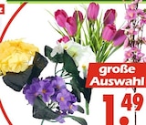 Kunstblumen Angebote bei Wreesmann Norderstedt für 1,49 €
