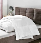 Ganzjahresdecke „Dauna-Lux“ im Angebot bei Segmüller in Hofheim Ganzjahresdecke „Dauna-Lux“ Angebote bei Segmüller Hofheim für 69,99 €