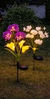 LED Solar Blumen von Living & Garden im aktuellen Netto Marken-Discount Prospekt