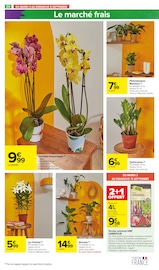 Orchidée Angebote im Prospekt "LE MOIS DES MOIS" von Carrefour Market auf Seite 22