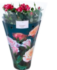 Aktuelle Blumen Angebote bei EDEKA in Hamburg Aktuelles Chrysanthemen oder Topfrosen Angebot bei EDEKA in Hamburg ab 2,49 €