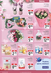 Aktueller EDEKA Prospekt mit Blumen, "Wir lieben Lebensmittel!", Seite 7
