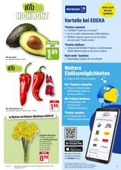 Aktueller EDEKA Prospekt mit Blumen, "Aktuelle Angebote", Seite 5