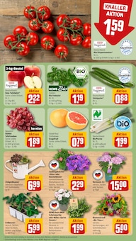 Hortensie im aktuellen REWE Prospekt (Ingolstadt) Hortensie im REWE Prospekt "Dein Markt" mit 34 Seiten (Ingolstadt)