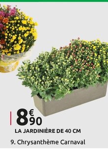 Mr Bricolage Grézieu-la-Varenne - Chrysanthème Carnaval Promo Chrysanthème Carnaval dans le catalogue Mr Bricolage "À ce prix-là, c'est la fête des économies !" à Grézieu-la-Varenne