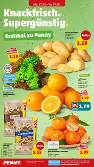 Gemüse im Penny Prospekt "Wer günstig will, muss Penny." mit 42 Seiten (Pforzheim)