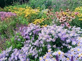 Promo Collection de vivaces "Fleurs de saison" ECLOZ à 4,00 € dans le catalogue Jardiland à Trignac