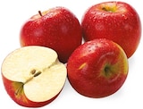 Snack Apfel bei REWE im Prospekt "" für 