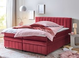 Aktuelles Boxbett Angebot bei Höffner in Cottbus ab 899,00 €