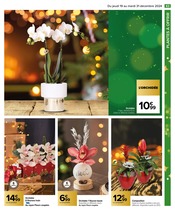 Orchidée Angebote im Prospekt "JOYEUSES FÊTES & MEILLEURS PRIX" von Carrefour auf Seite 65