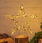 Gartenstecker Stern Angebote bei Hagebaumarkt Wismar für 14,99 €