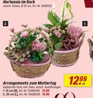 Hortensie im Korb Angebote bei toom Baumarkt Jena für 12,99 €
