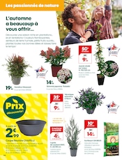 Jardinage Angebote im Prospekt "Break d’automne !" von Truffaut Jardinage Angebote im Prospekt "Break d’automne !" von Truffaut auf Seite 4